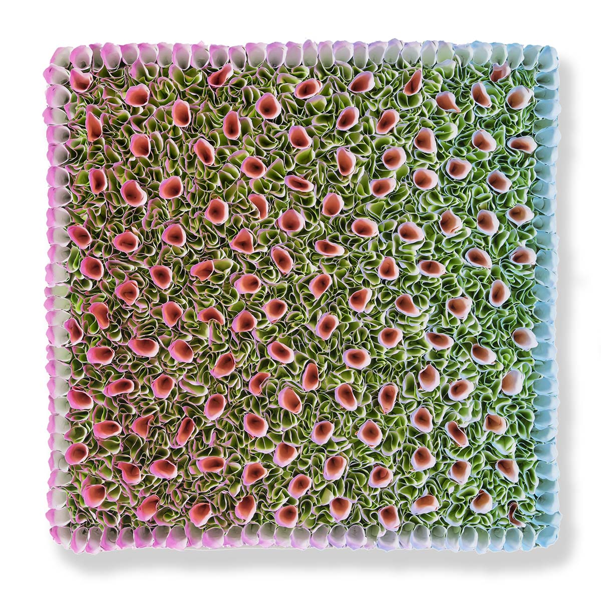 B19-D059 | 2019, 60 x 60 cm